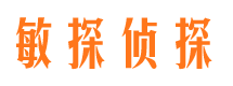 魏都侦探公司